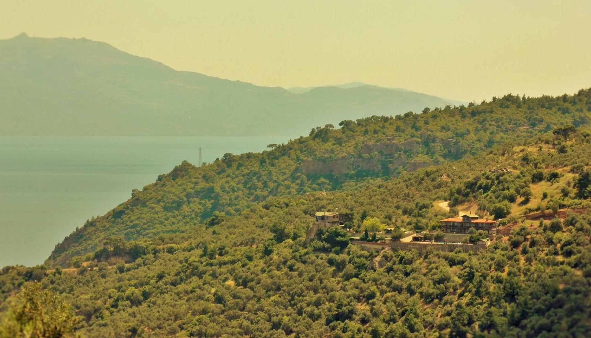 Assos Kartal Yuvasi Hotel Sazlı エクステリア 写真